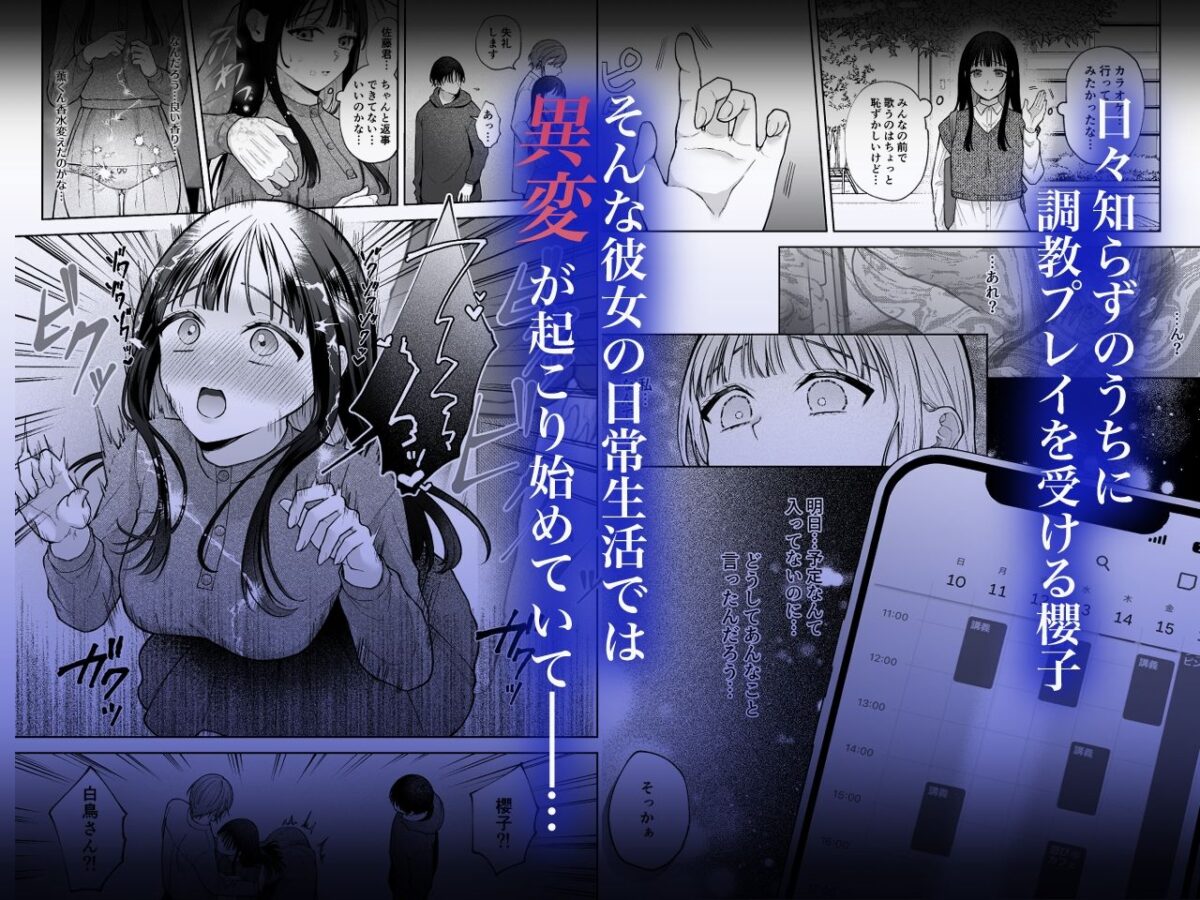 【催●調教×睡眠姦】薫くんはいつも私に××してくれる〜幼馴染の激重執着愛で身体を作り変えられている事を私はまだ知らない〜 8枚目